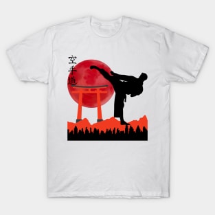 Karate/Taekwondo/MartialArts T-Shirt